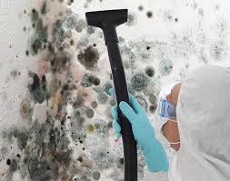 Best Emergency Mold Remediation  in Pinetops, NC